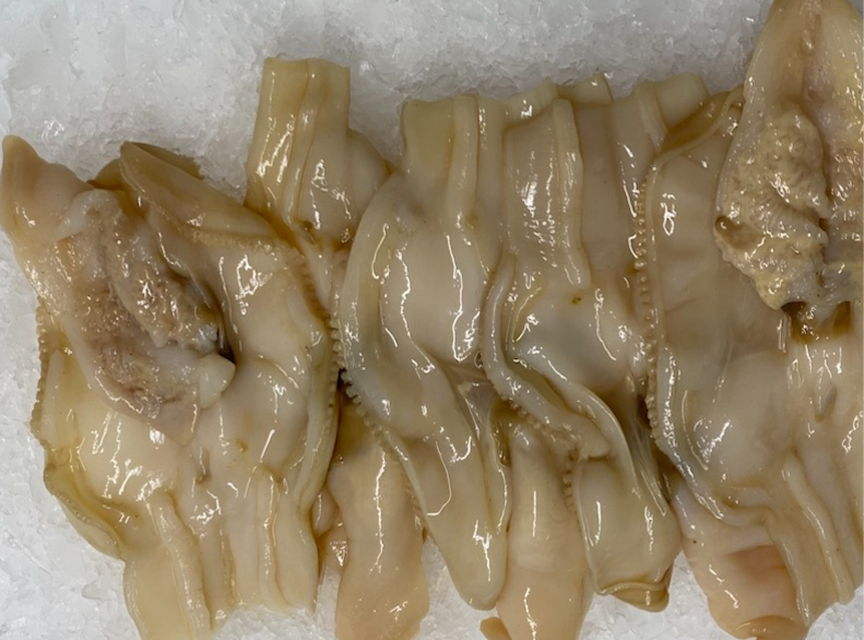 Dressed Razor Clams – Bell Buoy