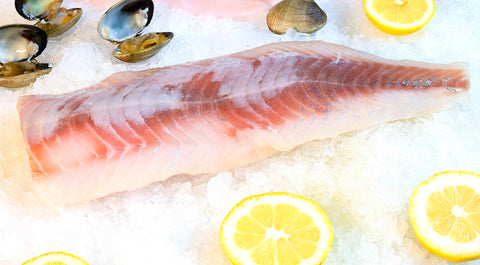 Ling Cod