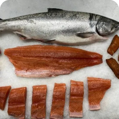 BellBuoy salmon