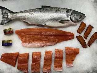 fresh salmon