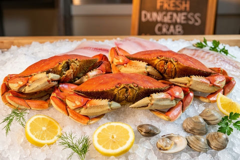 Dungeness Crab