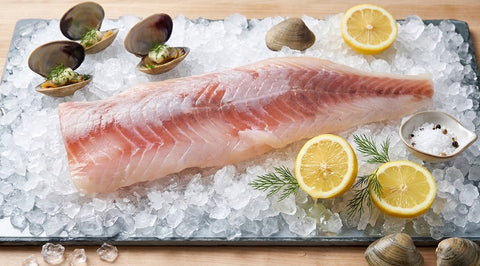 Ling Cod