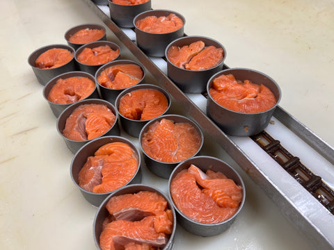 Canned Salmon