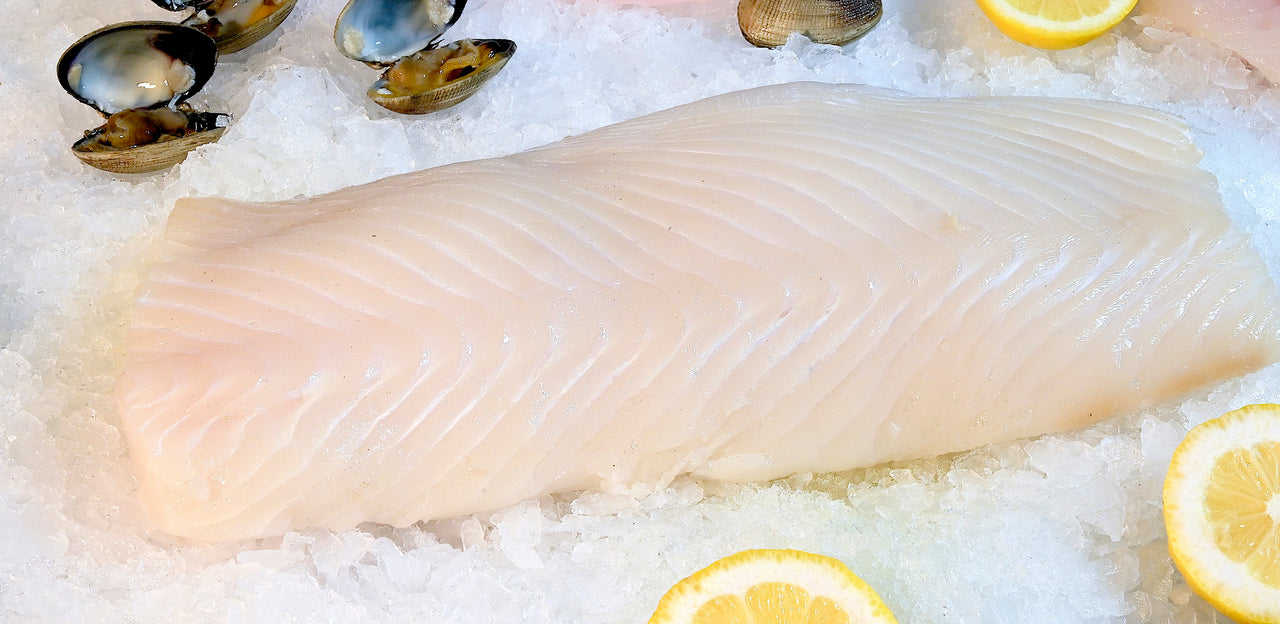 Halibut Fillets – Bell Buoy