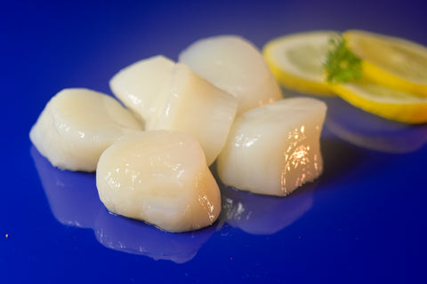 sea scallops