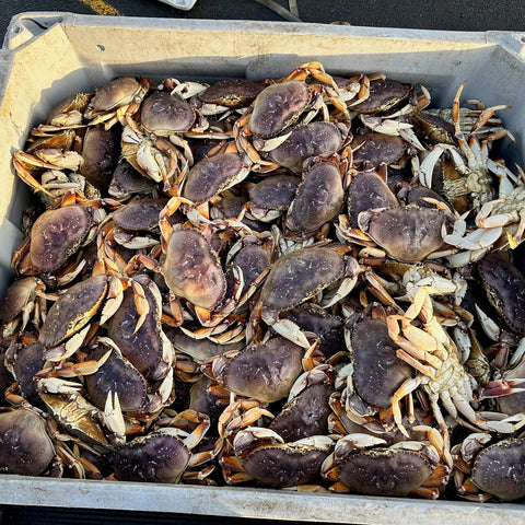 Tote of Crab