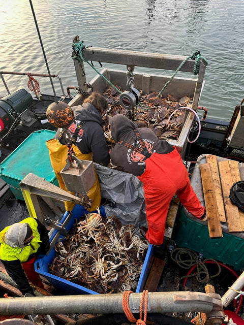 Unloading Crab Boat